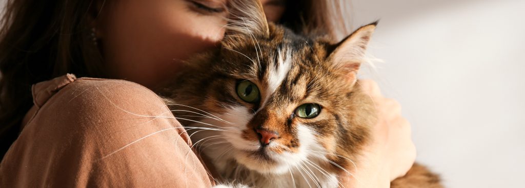 The Ultimate Guide to Cat Accessories: Essentials Every Cat Owner Should Have