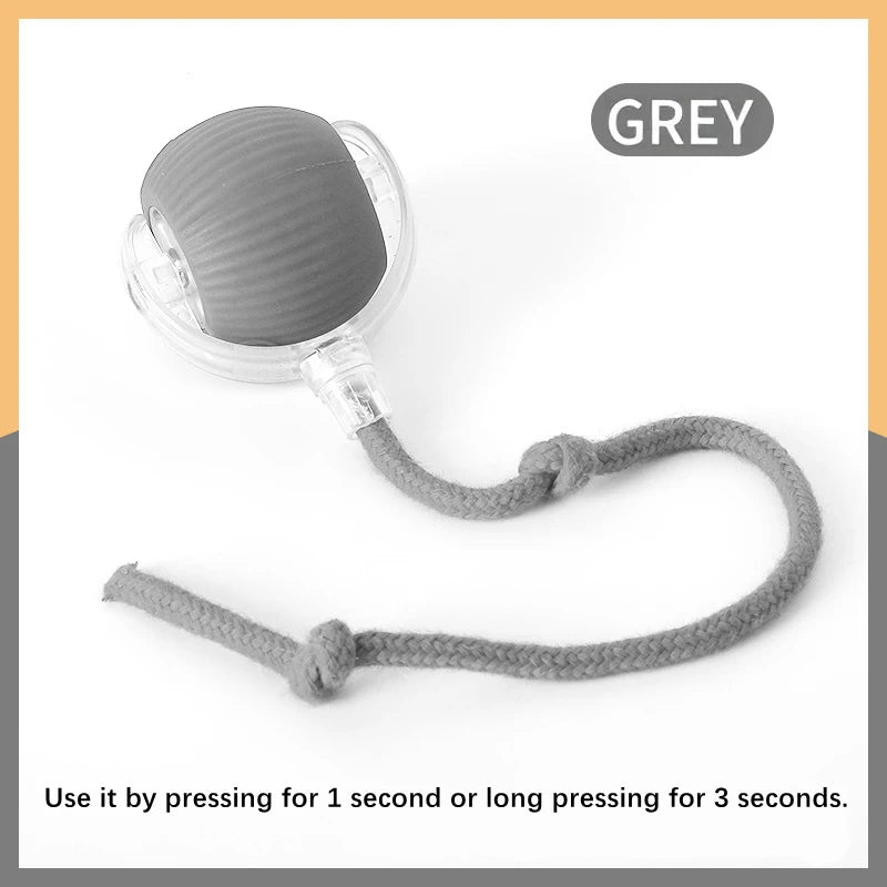 USB Automatic Electronic Interactive Pet Toy