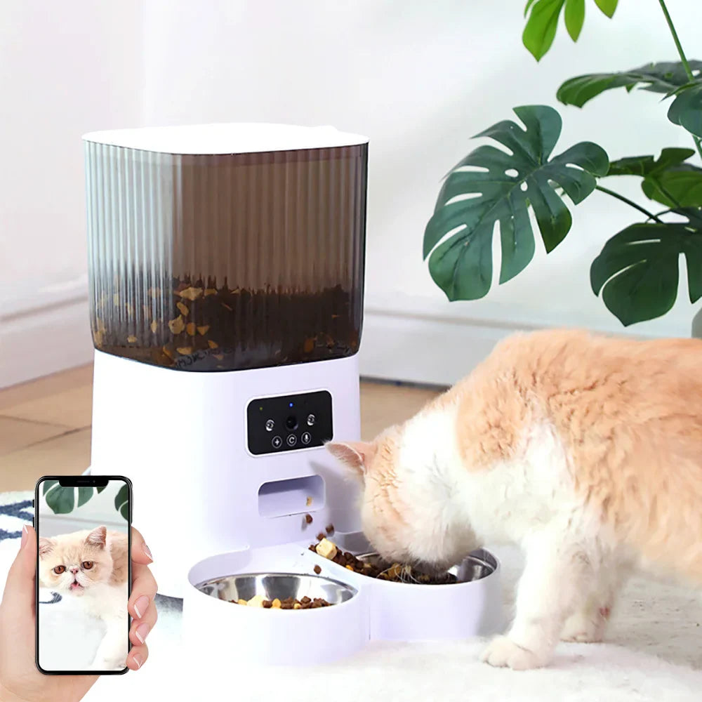Pet Feeding