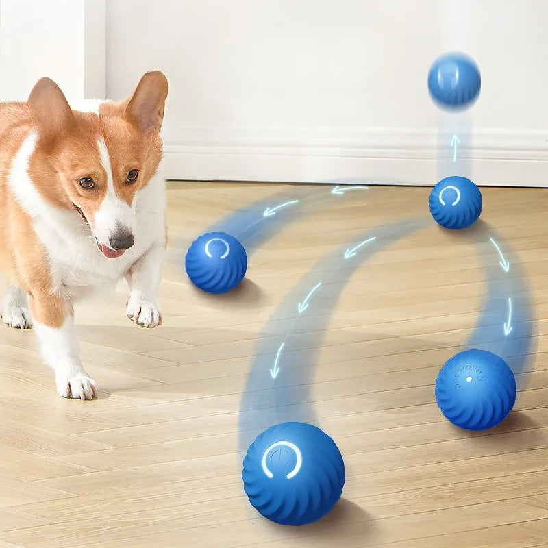 Pet Toys