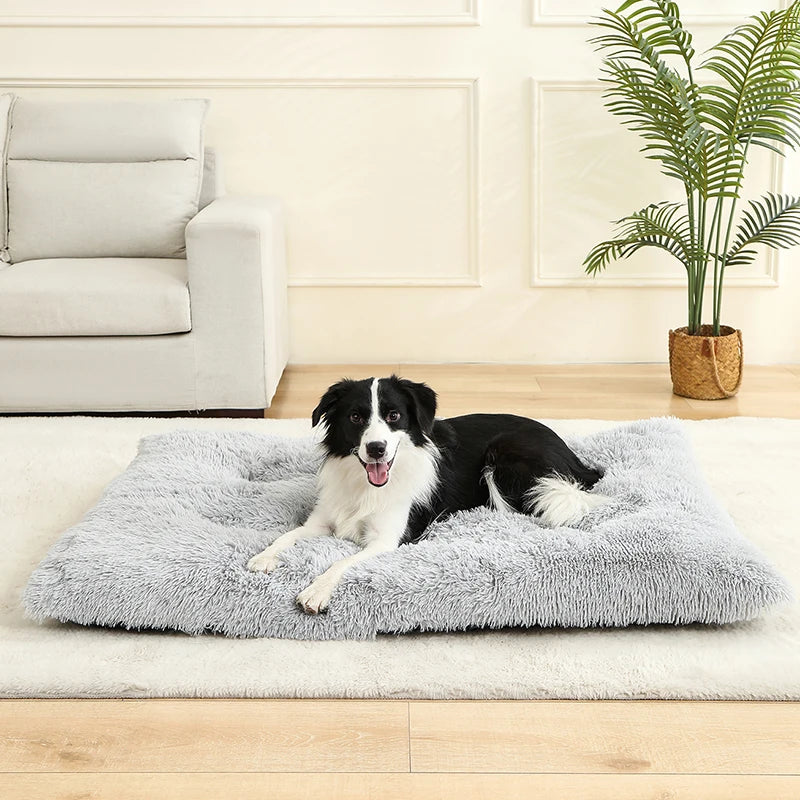 Soft Long Plush Soft Dog Beds