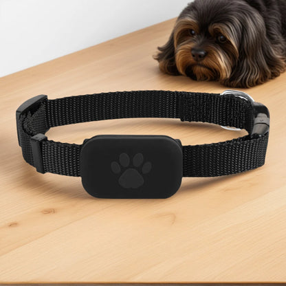 Adjustable Collar With GPS Tracker