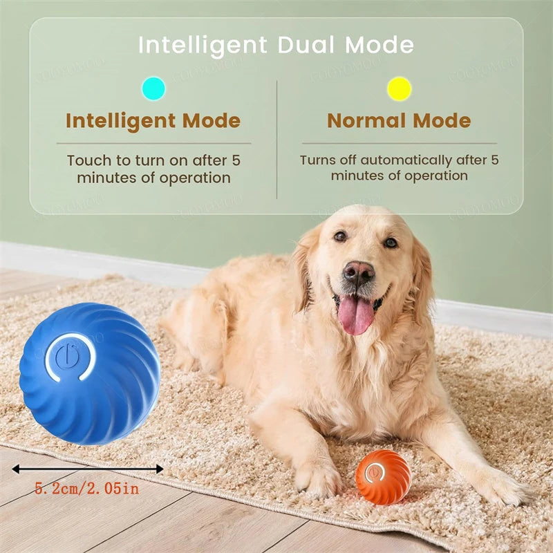 USB Automatic Electronic Interactive Pet Toy
