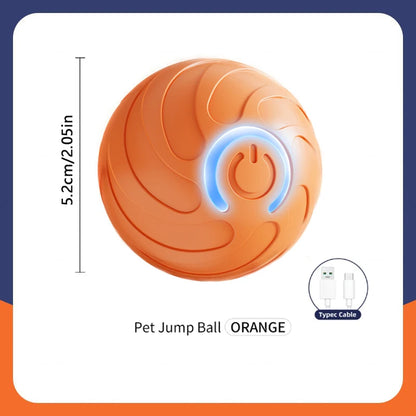 USB Automatic Electronic Interactive Pet Toy