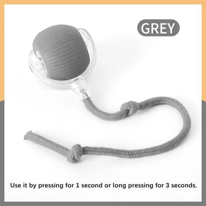 USB Automatic Electronic Interactive Pet Toy