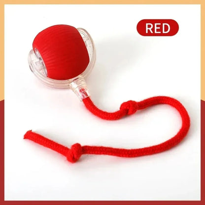 Faux Tail Rechargeable Smart Pet Electric Toy