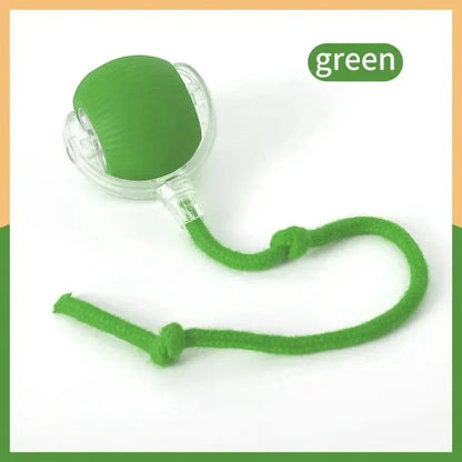 Faux Tail Rechargeable Smart Pet Electric Toy