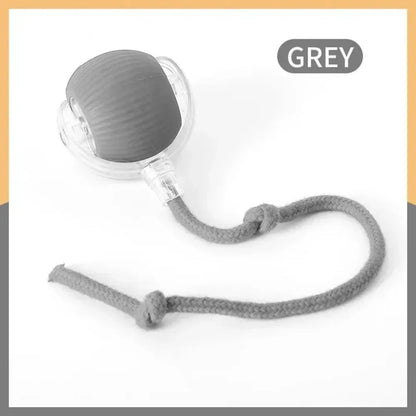 Faux Tail Rechargeable Smart Pet Electric Toy