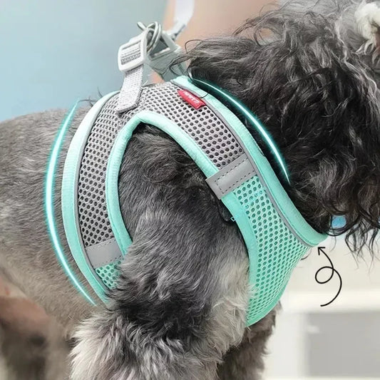 Mesh Adjustable Puppy Harness Set
