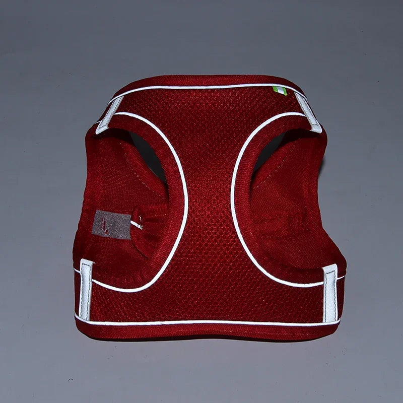 Mesh Adjustable Puppy Harness Set