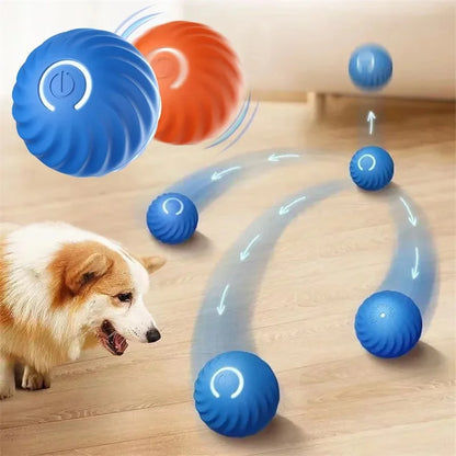 USB Automatic Electronic Interactive Pet Toy
