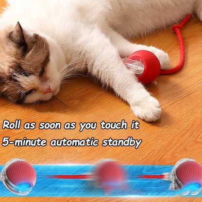Faux Tail Rechargeable Smart Pet Electric Toy
