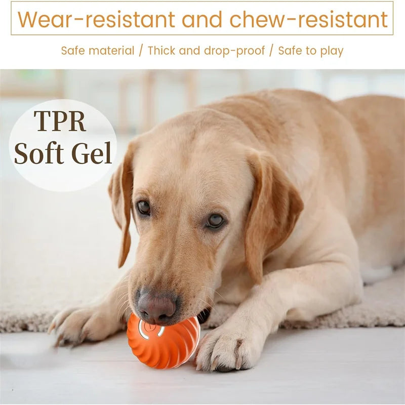 USB Automatic Electronic Interactive Pet Toy