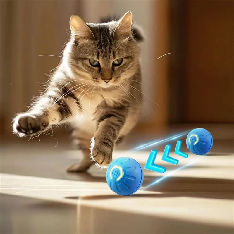 USB Automatic Electronic Interactive Pet Toy