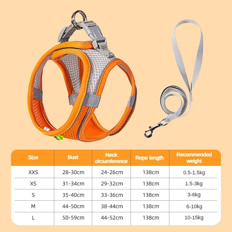 Mesh Adjustable Puppy Harness Set