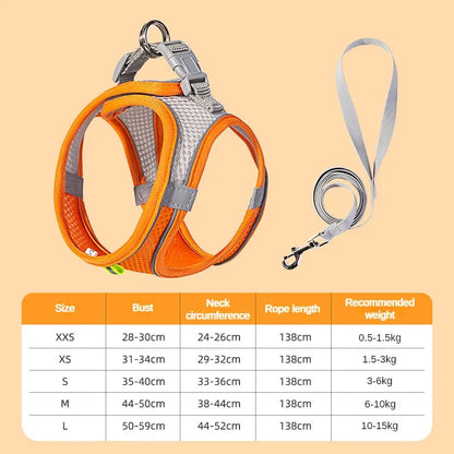 Mesh Adjustable Puppy Harness Set