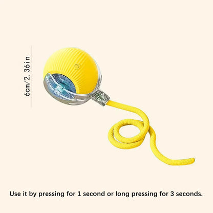 USB Automatic Electronic Interactive Pet Toy