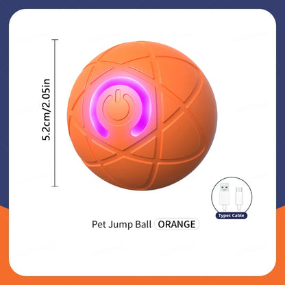 USB Automatic Electronic Interactive Pet Toy