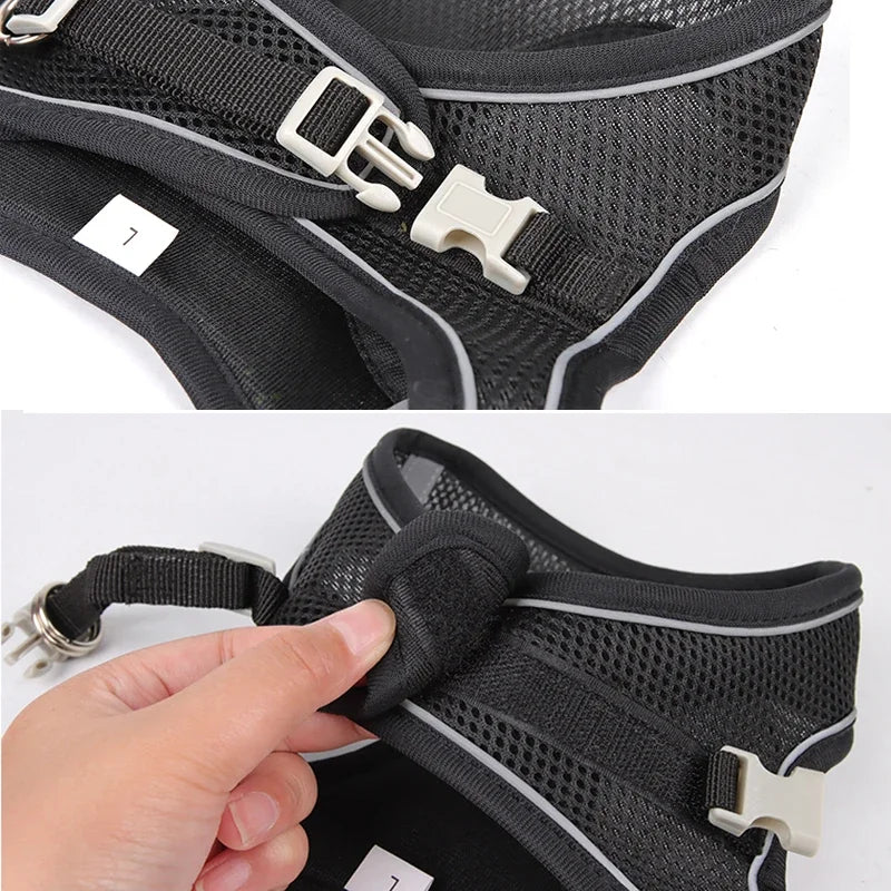 Mesh Adjustable Puppy Harness Set