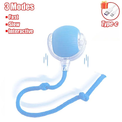 Faux Tail Rechargeable Smart Pet Electric Toy