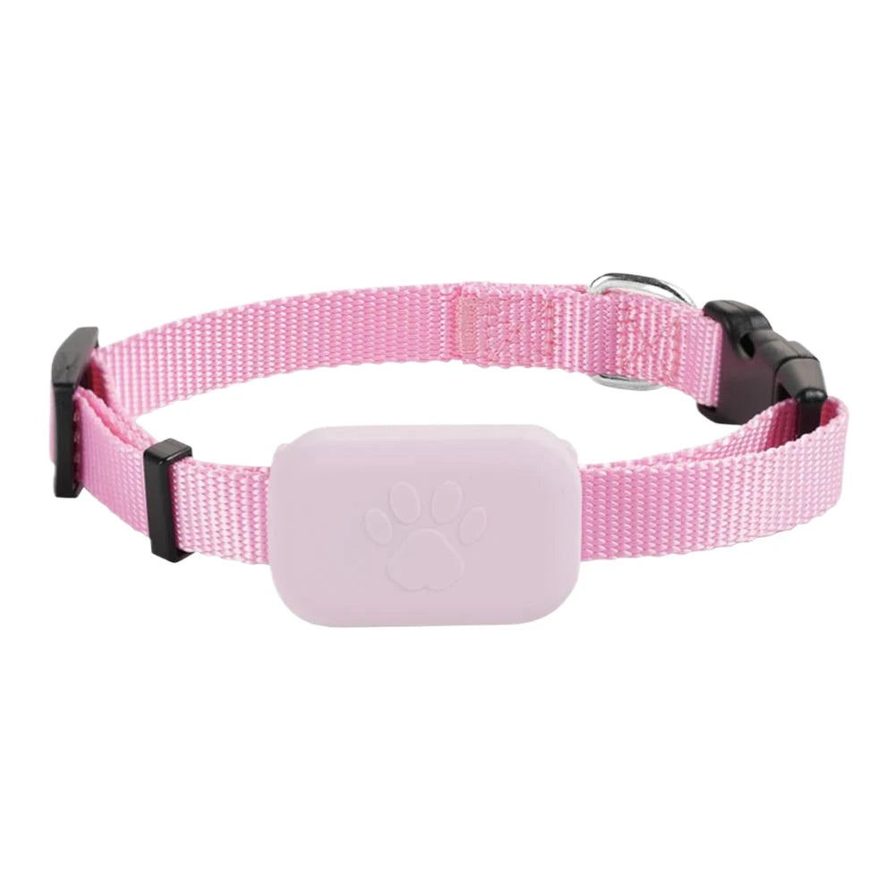 Adjustable Collar With GPS Tracker