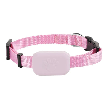 Adjustable Collar With GPS Tracker