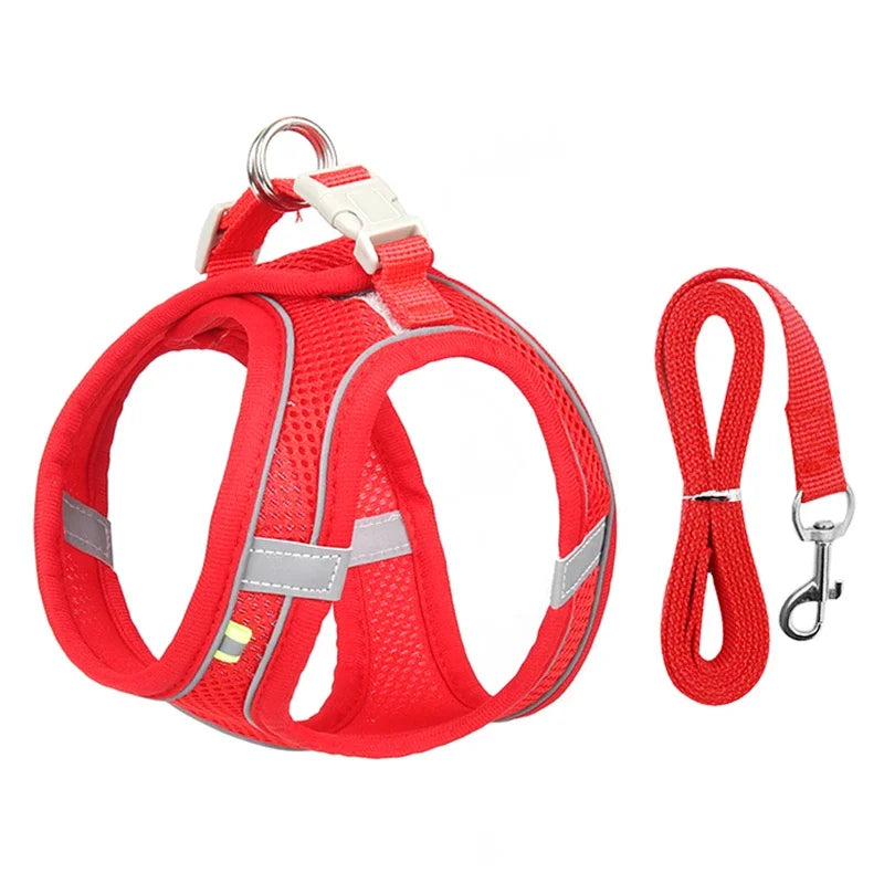 Mesh Adjustable Puppy Harness Set