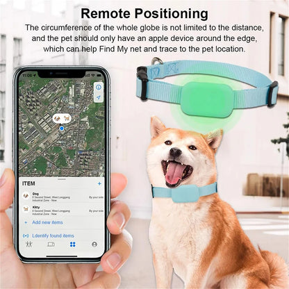 Adjustable Collar With GPS Tracker