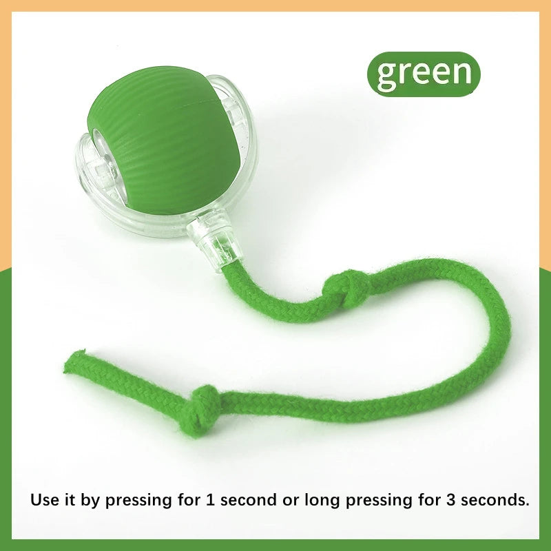 USB Automatic Electronic Interactive Pet Toy