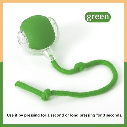 USB Automatic Electronic Interactive Pet Toy