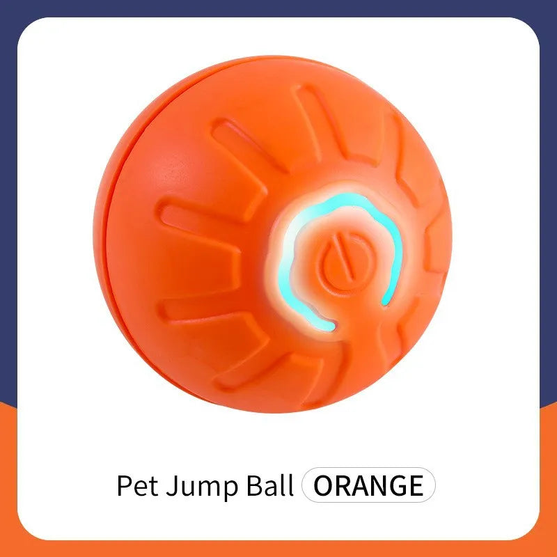 USB Automatic Electronic Interactive Pet Toy