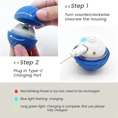 USB Automatic Electronic Interactive Pet Toy