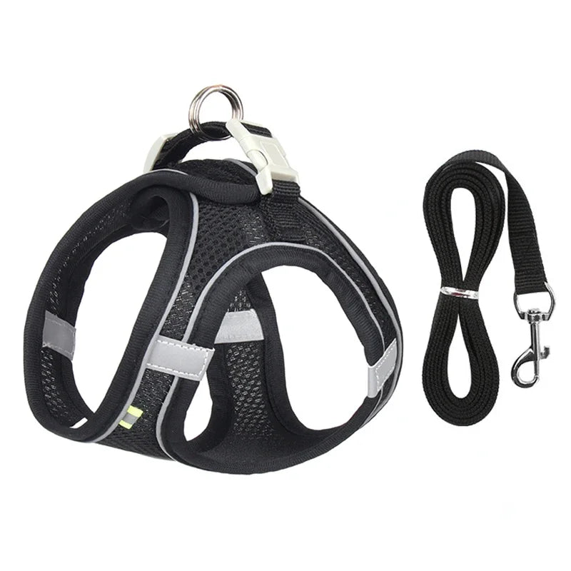 Mesh Adjustable Puppy Harness Set
