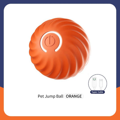 USB Automatic Electronic Interactive Pet Toy
