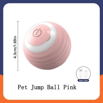 USB Automatic Electronic Interactive Pet Toy