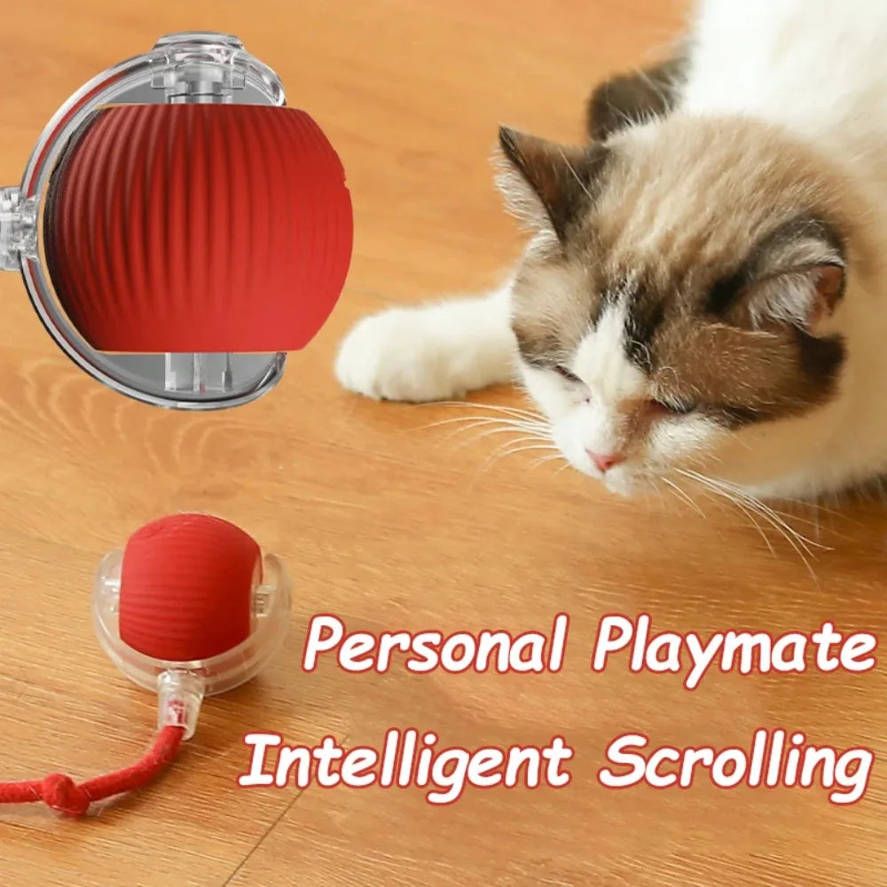 Faux Tail Rechargeable Smart Pet Electric Toy