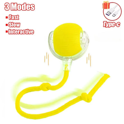 Faux Tail Rechargeable Smart Pet Electric Toy