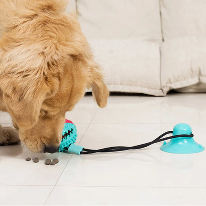 Silicon Suction Cup Tug Interactive Toy