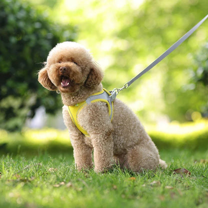 Mesh Adjustable Puppy Harness Set