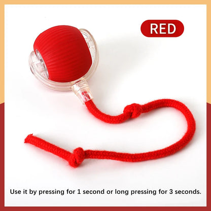 USB Automatic Electronic Interactive Pet Toy